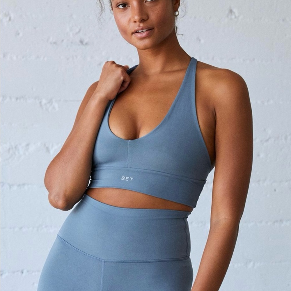 SET Active Luxform V Neck Bra in Berry